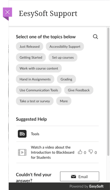 eesy support ultra.png